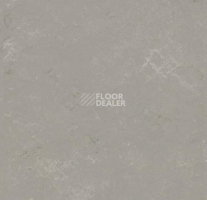 Кварцвиниловые полы Forbo Marmoleum Modular t3718 Pluto фото 1 | FLOORDEALER